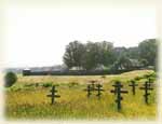 Early Russian bury places in the Ross fort